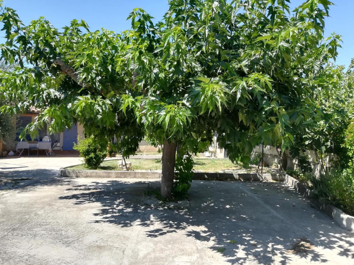 La Maison D'Ogooue Carpentras Exteriér fotografie